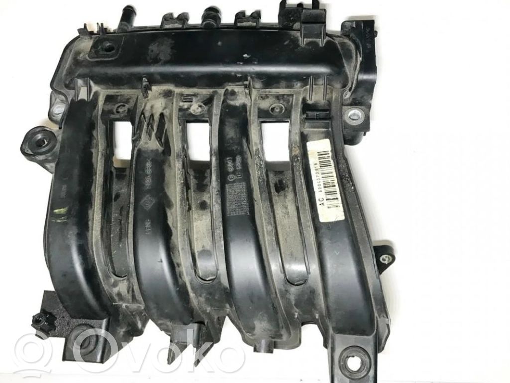 Colector de admisión   8200373916,8200373916AC,53496,8200373916,8200373916AC,88003