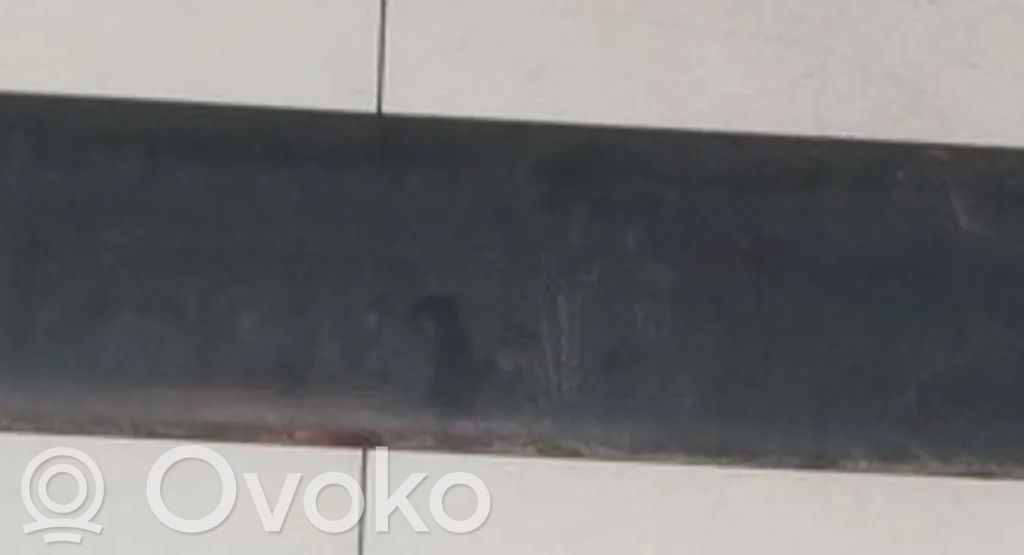 Renault Kangoo I Rivestimento della portiera anteriore (modanatura)