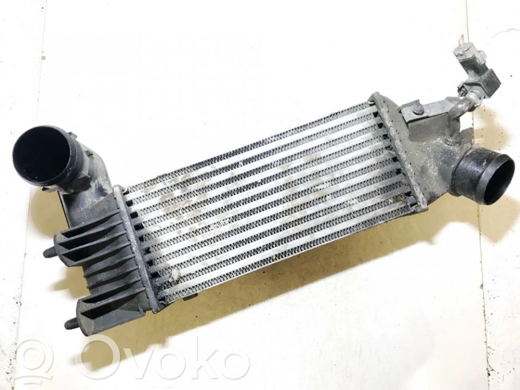 Citroen C5 Radiatore intercooler 