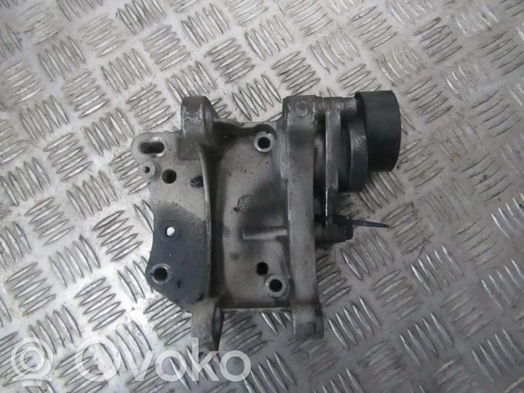 Peugeot 307 Întinzător curea generator/alternator 
