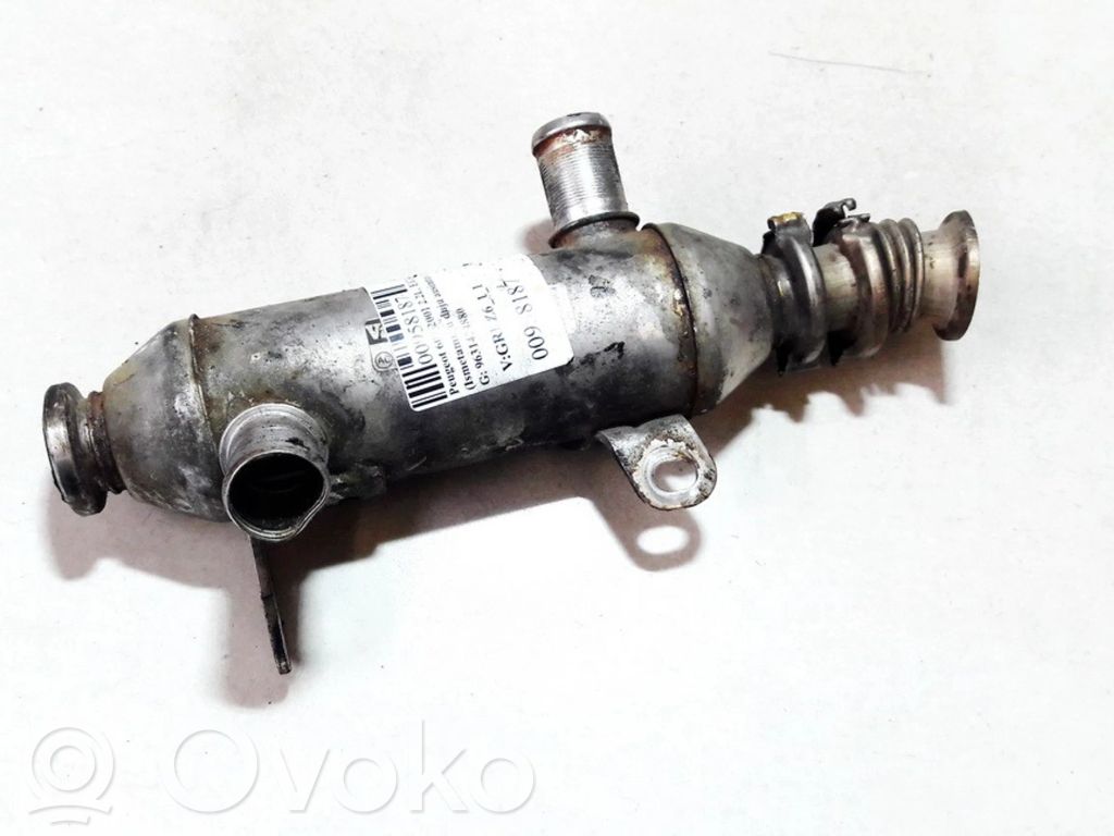 Peugeot 607 Chłodnica spalin EGR 