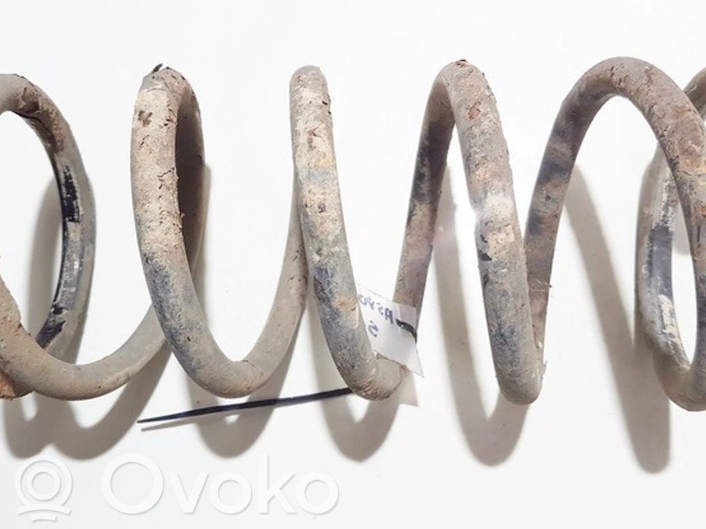 Rear coil spring