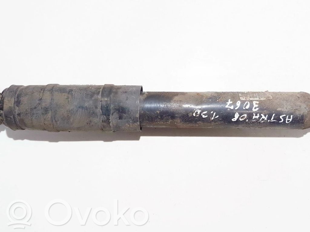 Stoßdämpfer hinten   222429586,222429586