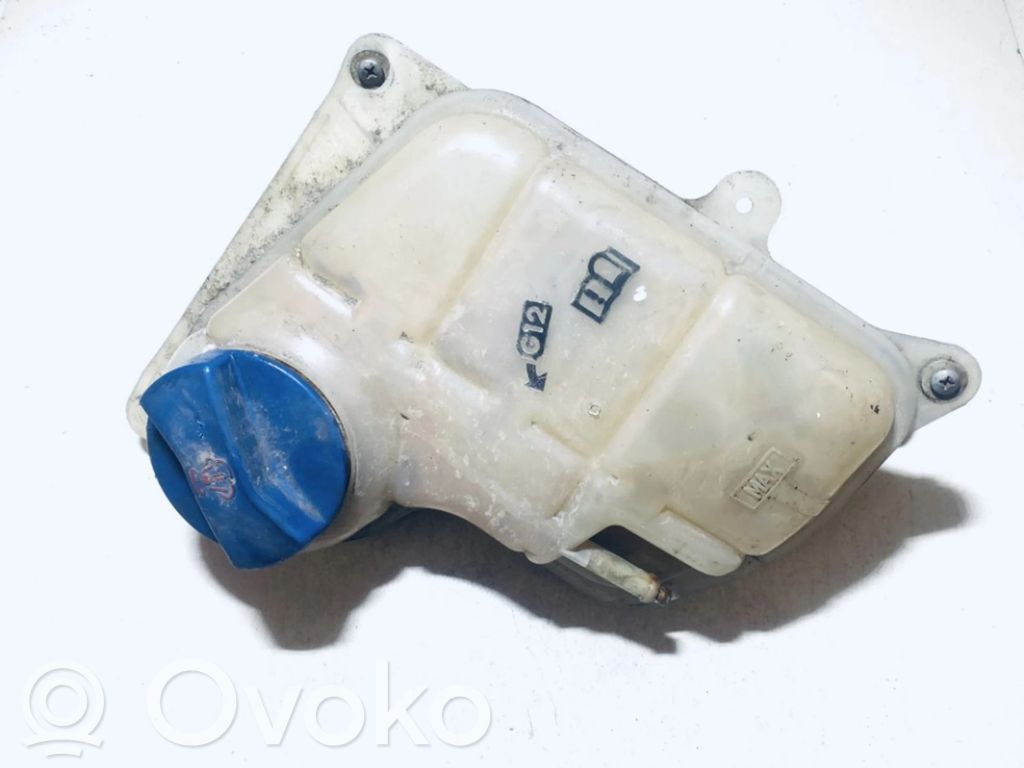 Volkswagen PASSAT B5 Vas expansiune/rezervor lichid de răcire 