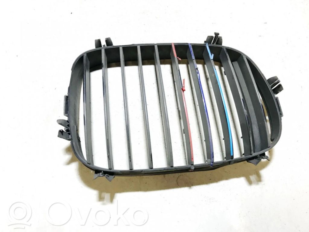 Front grill   81593160,81845329,81593160,81845329