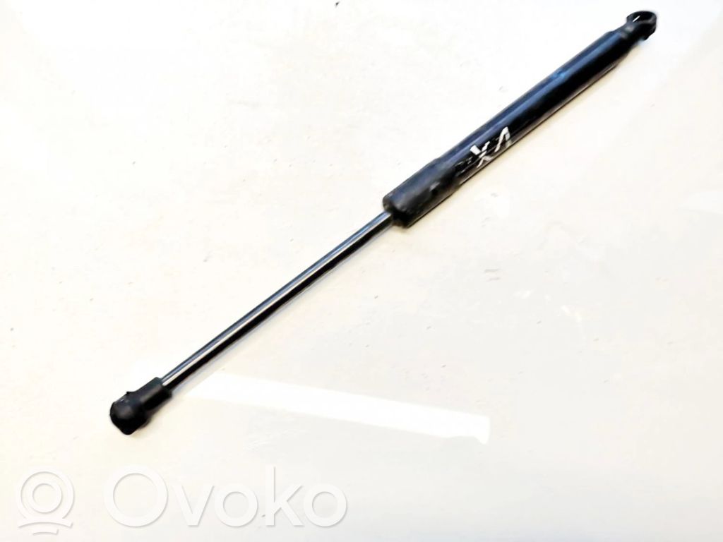 Tailgate/trunk strut/damper