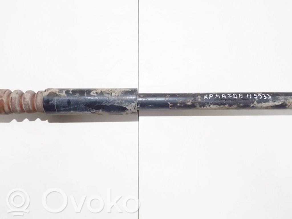 Stoßdämpfer hinten