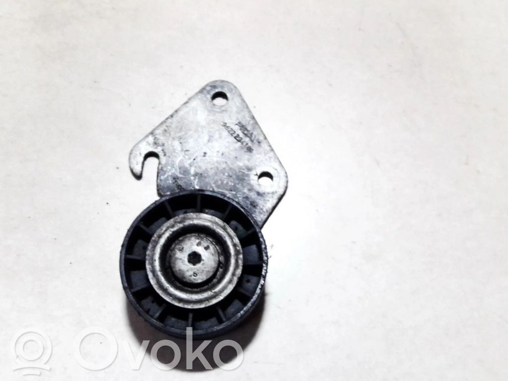 Peugeot 406 Întinzător curea generator/alternator