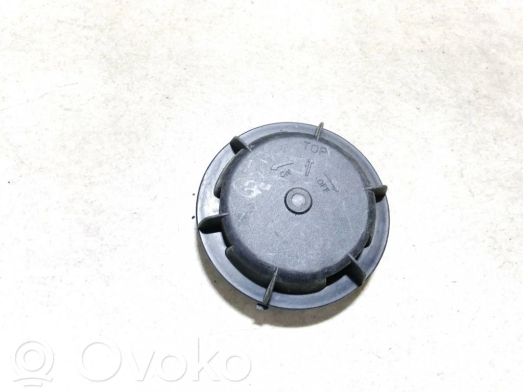 Cache-poussière de phare avant   305511135,305511135