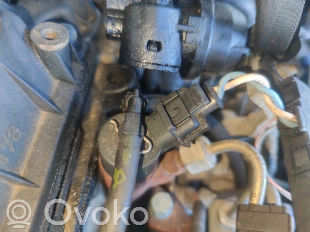Injector combustibil   0445110076,9641742880,0445110076,9641742880