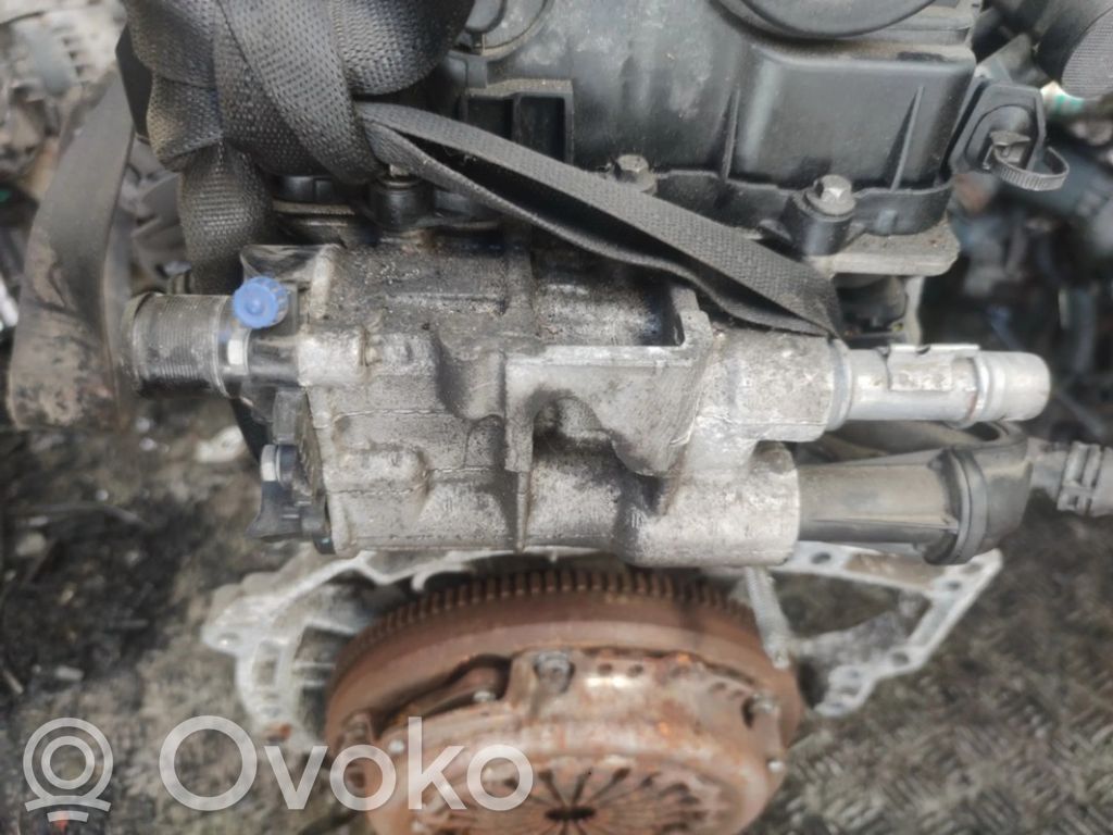 Engine coolant pipe/hose