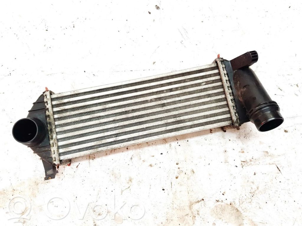 Mercedes-Benz Citan W415 Radiator intercooler 