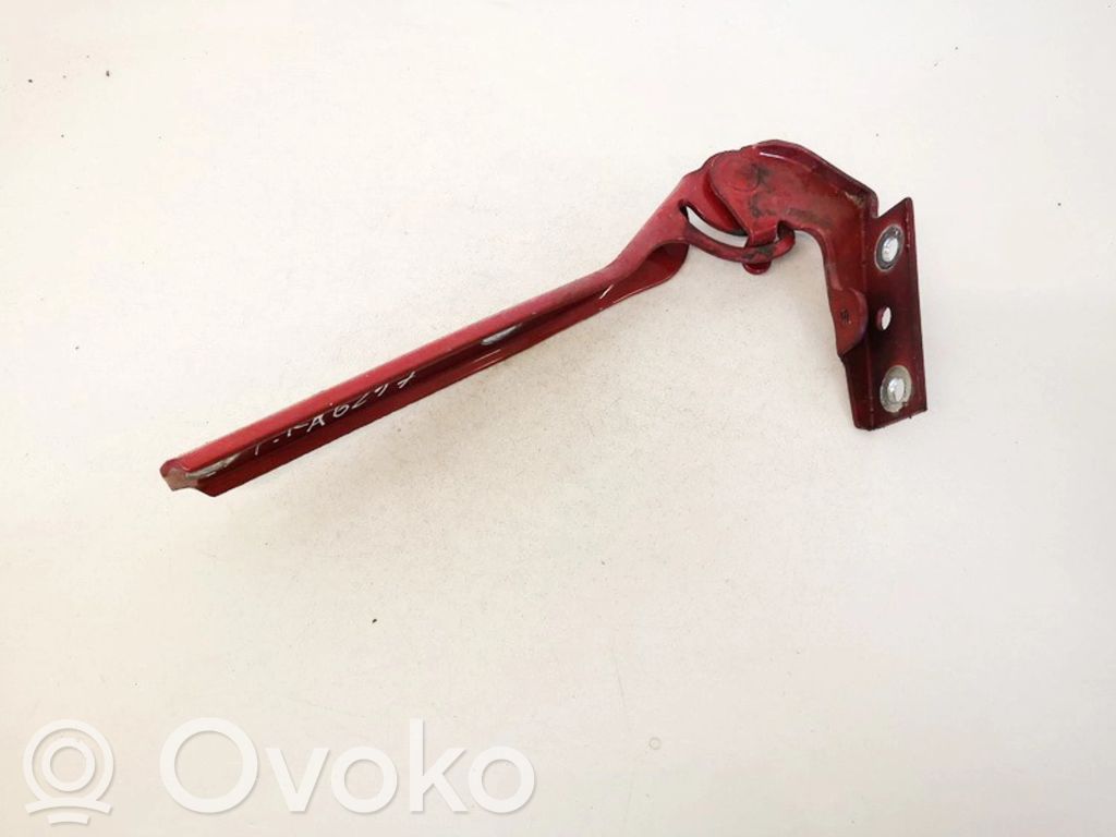 Volkswagen PASSAT B5 Cerniere del vano motore/cofano 