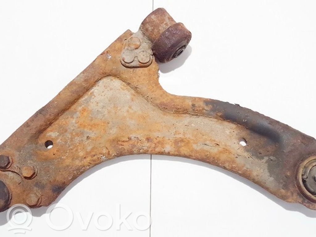 Front lower control arm/wishbone