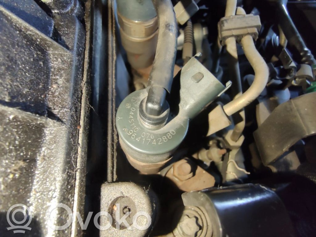 Inyector de combustible   0445110076,9641742880,0445110076,9641742880