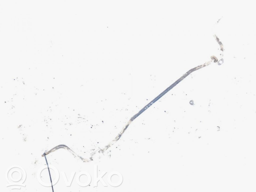 Galinis stabilizatorius