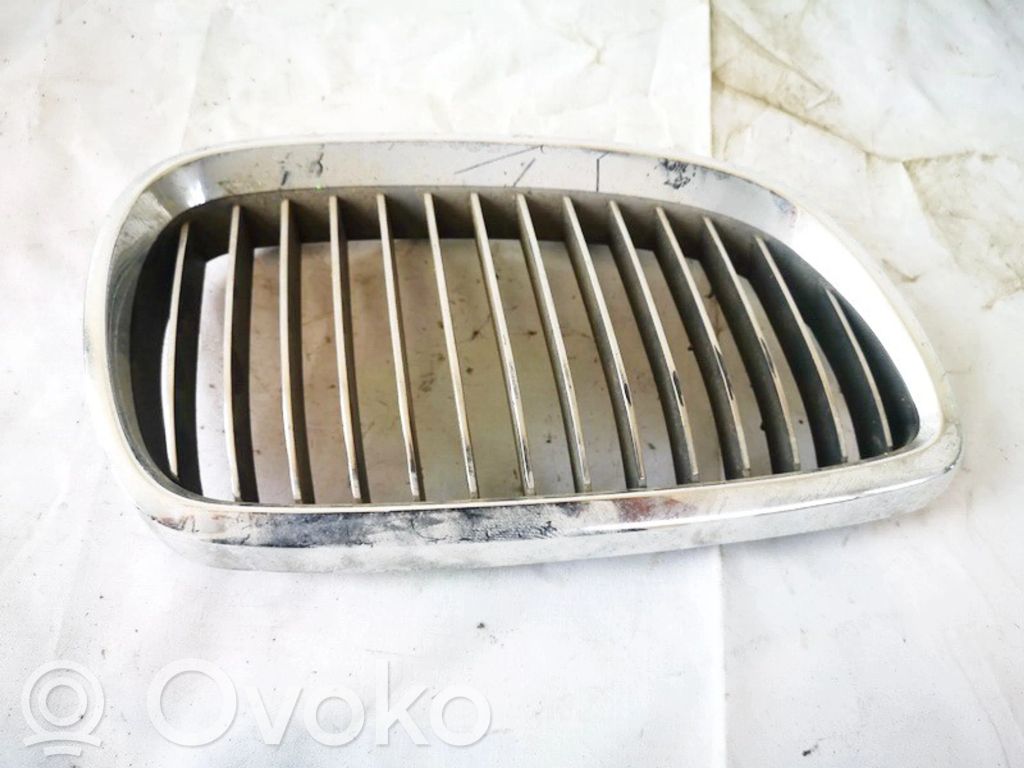 Kühlergrill   22405910,22405910,22405910,22405910