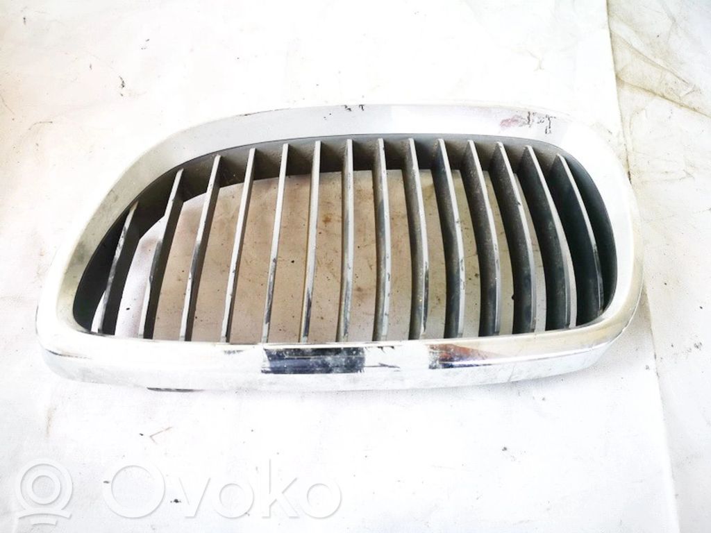 Kühlergrill   22405910,22405910,22405910,22405910