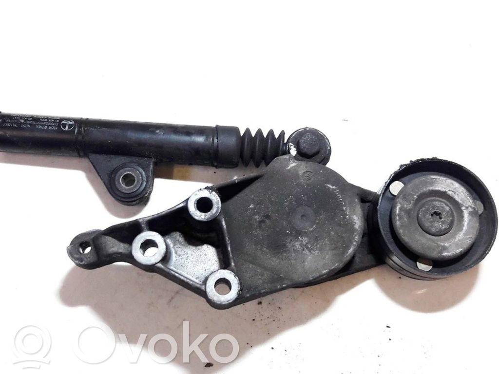 Skoda Octavia Mk1 (1U) Întinzător curea generator/alternator 