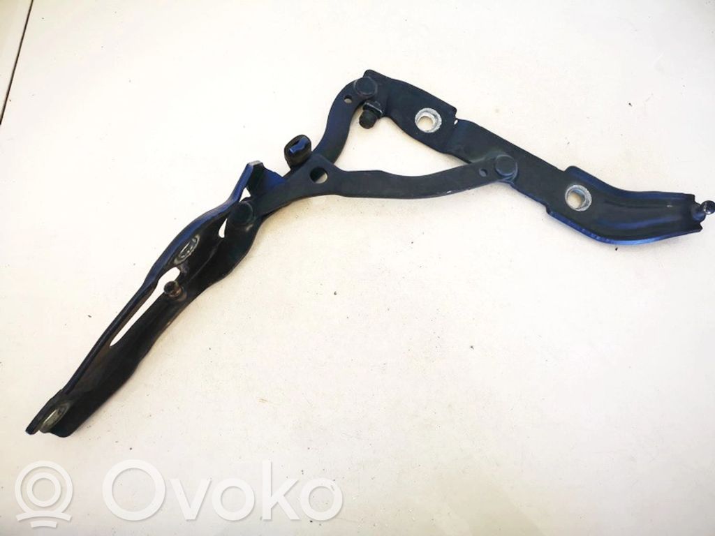 Tailgate/trunk/boot hinge   706062706,706062706,706062706,706062706