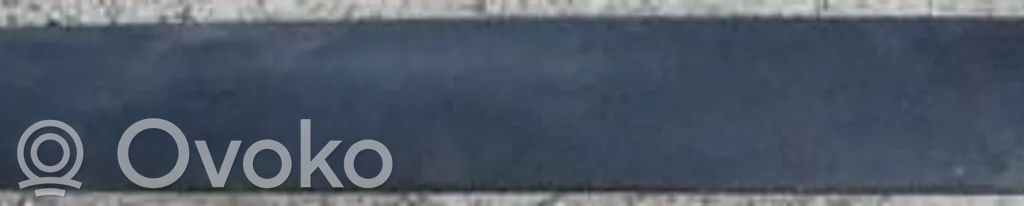 Renault Clio II Front door trim (molding) 