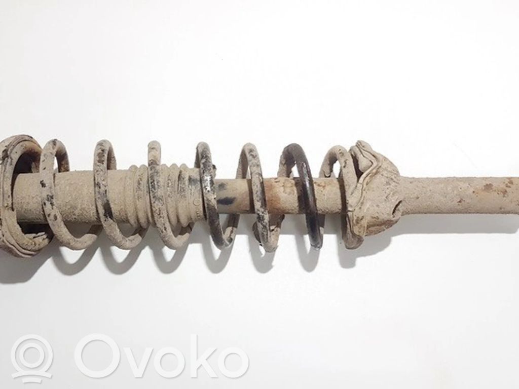 Stoßdämpfer hinten