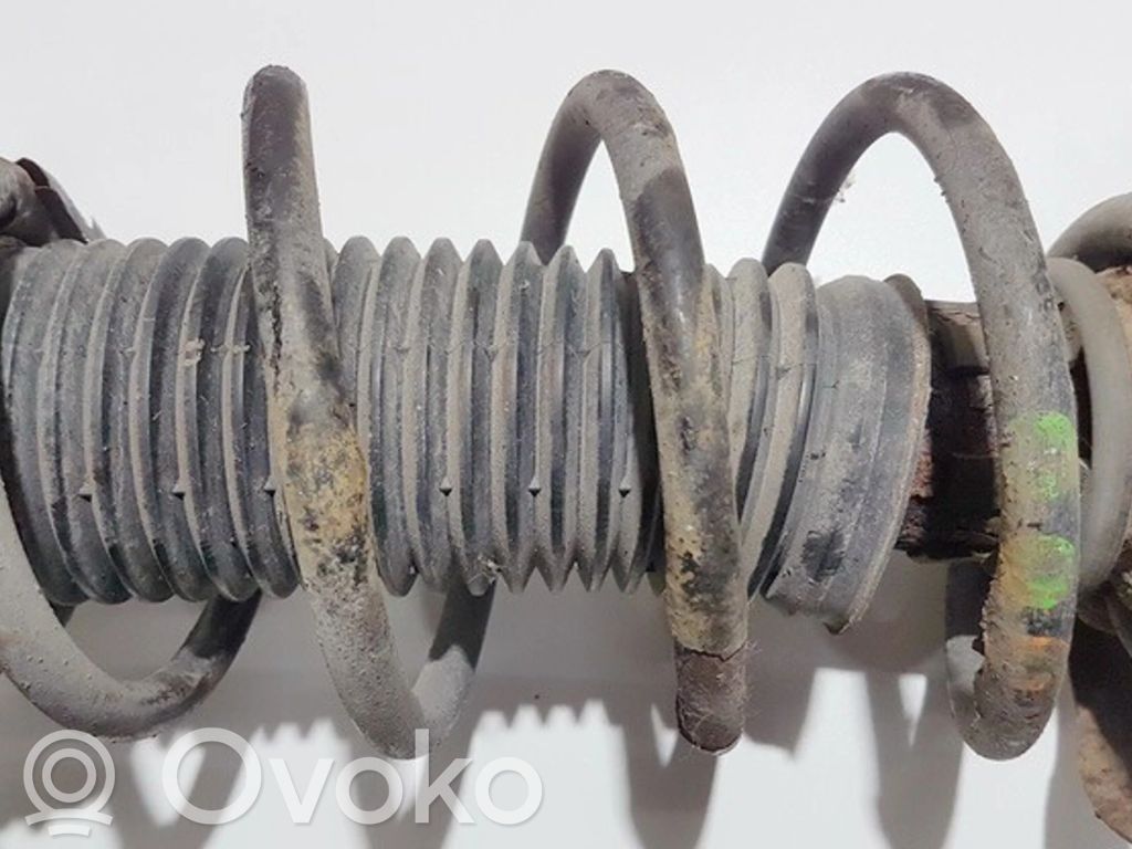 Front coil spring