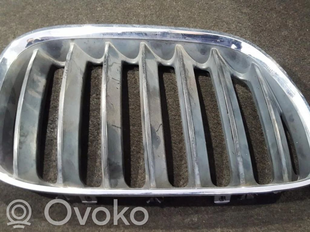 BMW X5 E53 Front bumper lower grill 