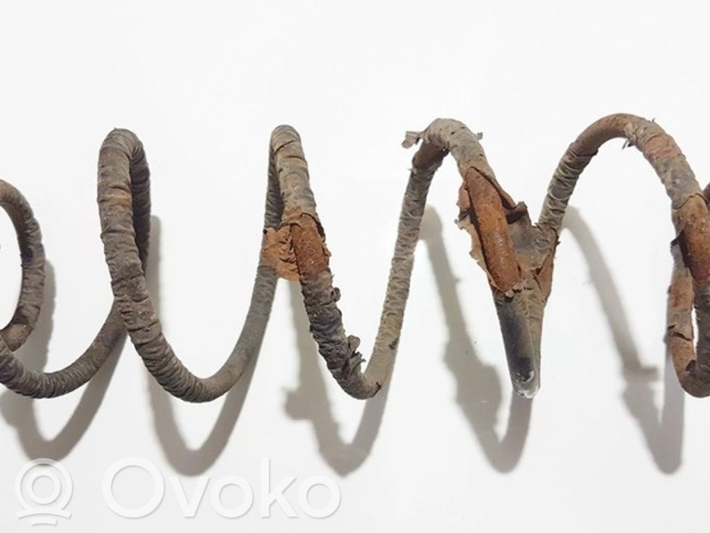 Rear coil spring