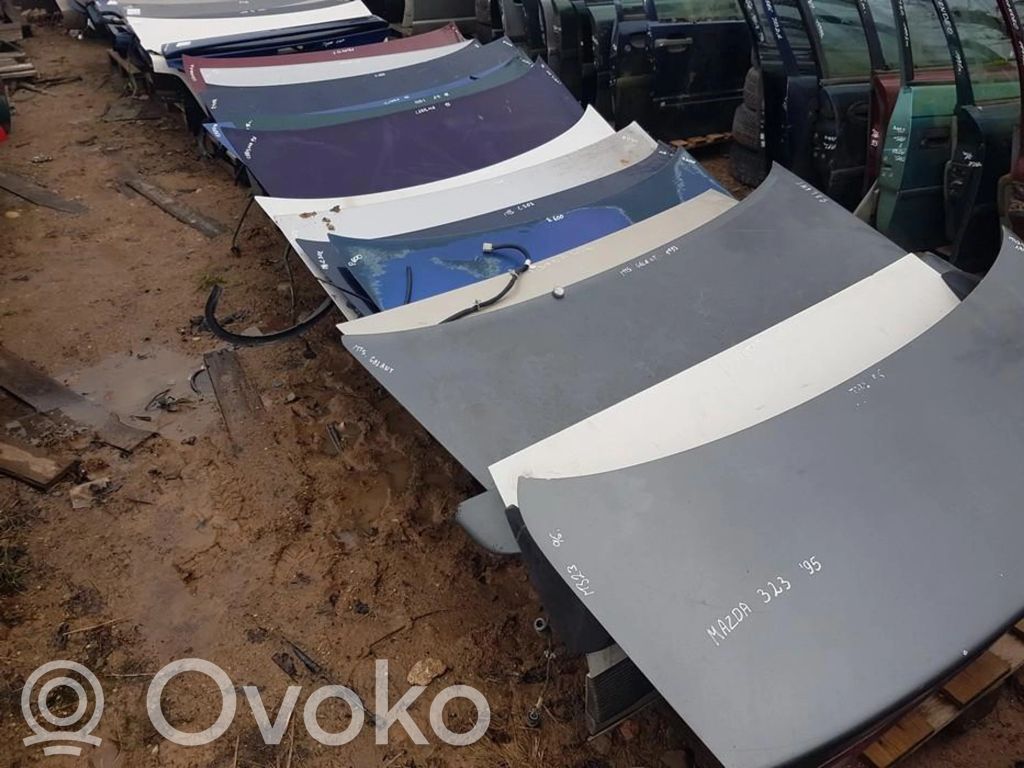 Tailgate/trunk/boot lid