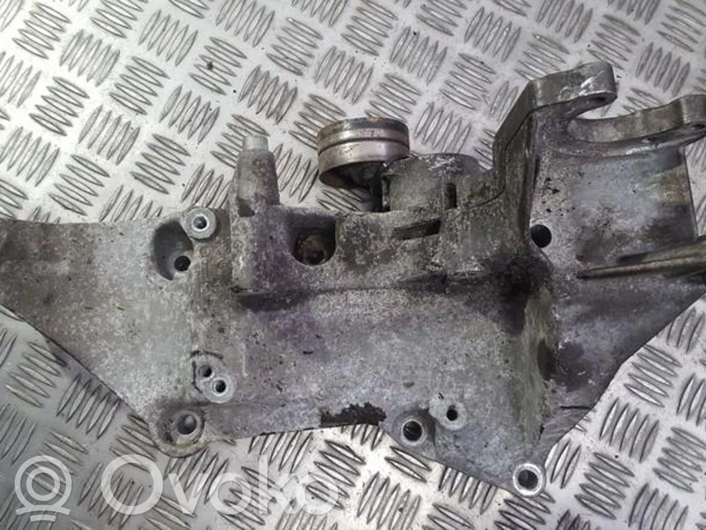 Renault Laguna II Întinzător curea generator/alternator 