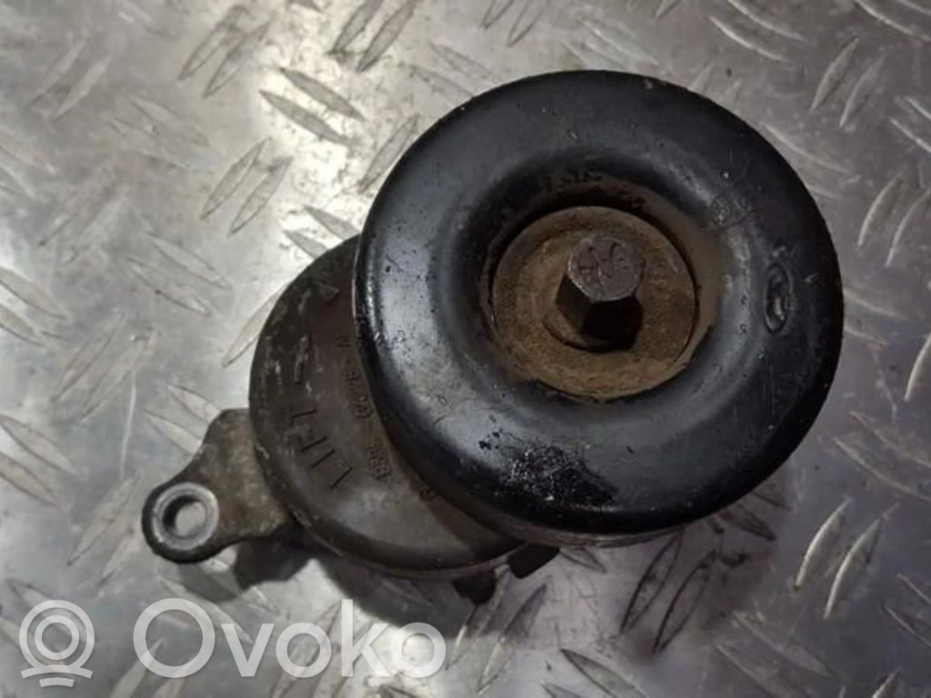 Tensor de correa del alternador   93BB6A228AE,93BB6A228AE,93BB6A228AE,93BB6A228AE