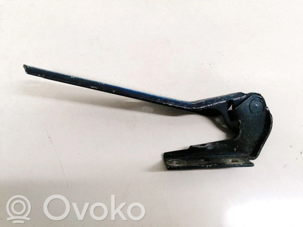 Volkswagen PASSAT B5.5 Cerniere del vano motore/cofano