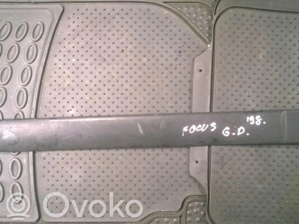 Ford Focus Rear door trim (molding) 