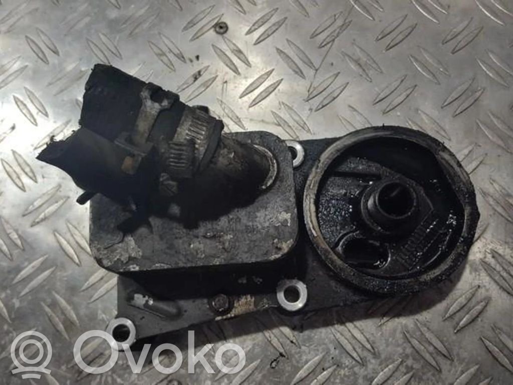 Ford Focus Ölkühler 