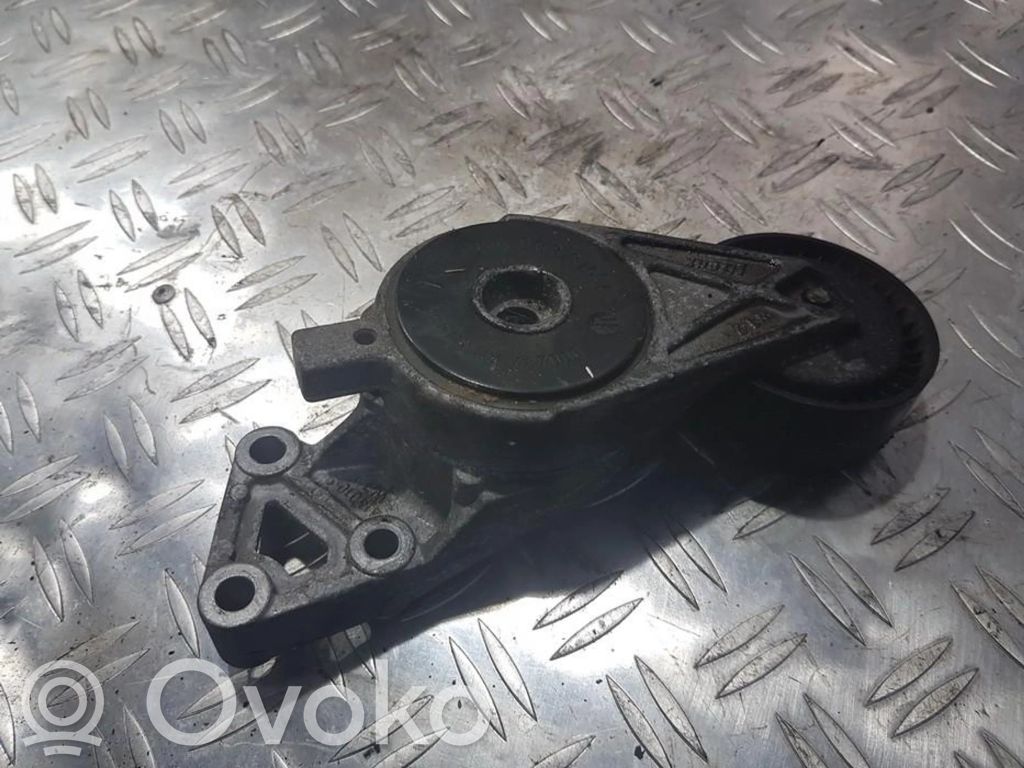 Întinzător curea generator/alternator   06A903315F,06A903315F