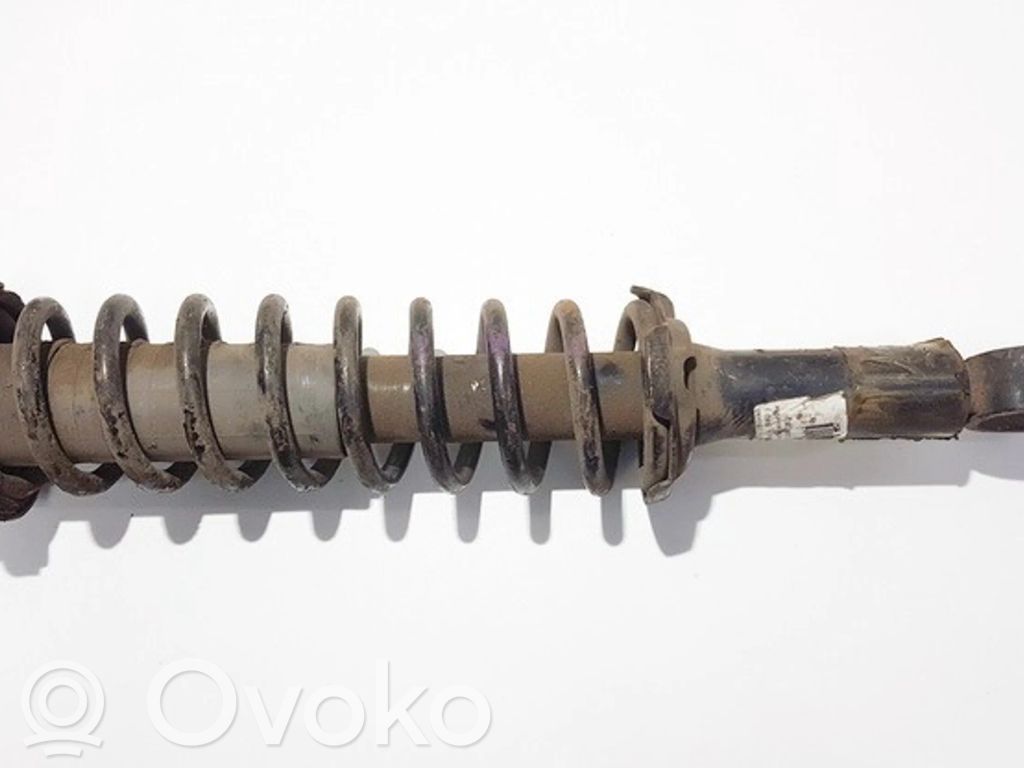 Stoßdämpfer hinten