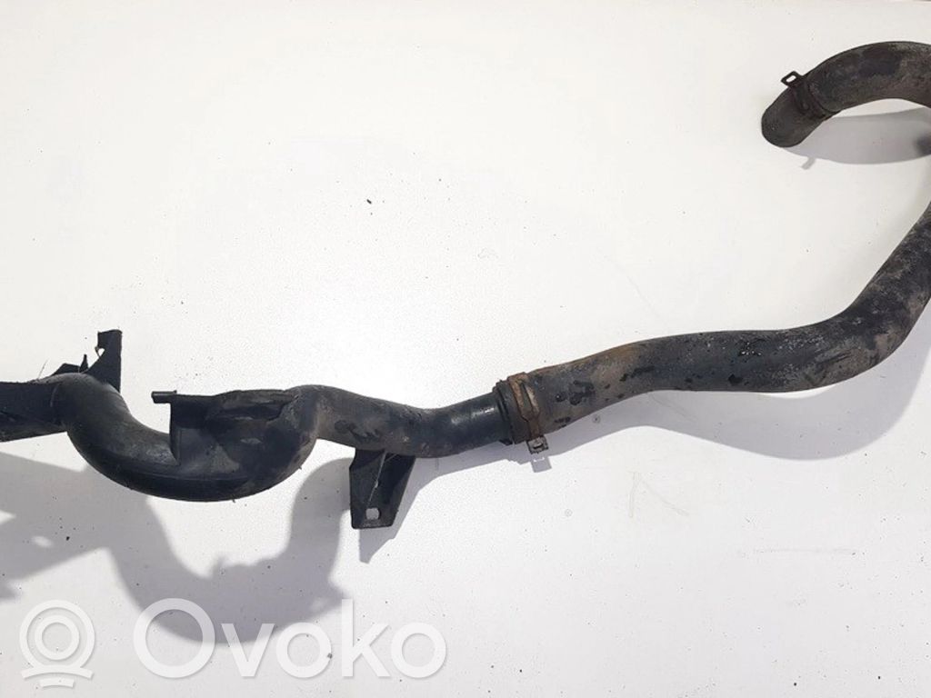 Citroen C3 Kühlleitung / Kühlschlauch 