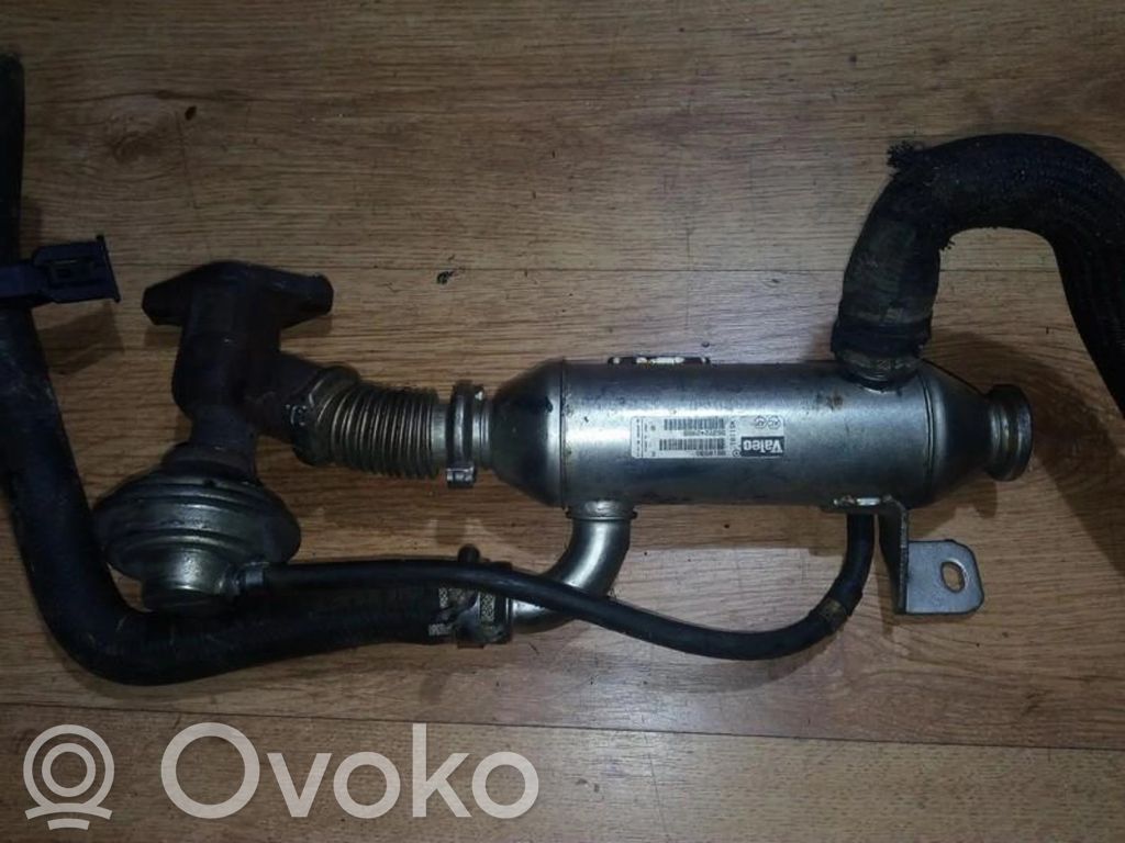 Peugeot 406 Valvola di raffreddamento EGR 