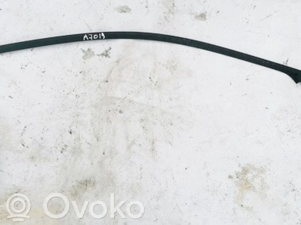 Mercedes-Benz CLC CL203 Listwa / Uszczelka szyby drzwi 
