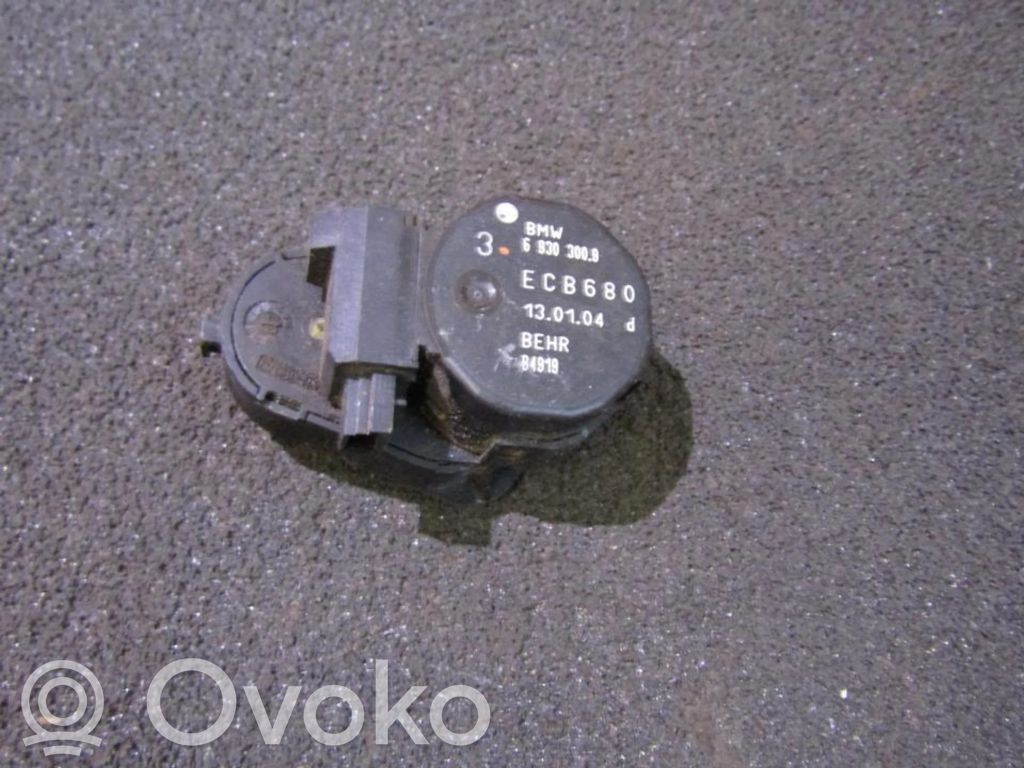 BMW X5 E53 Motor/actuator clapetă aer 