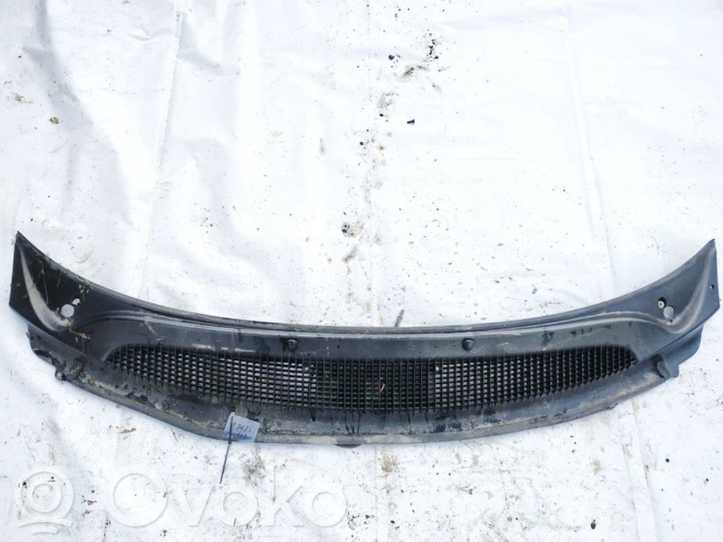 Chrysler Voyager Moldura del limpia 