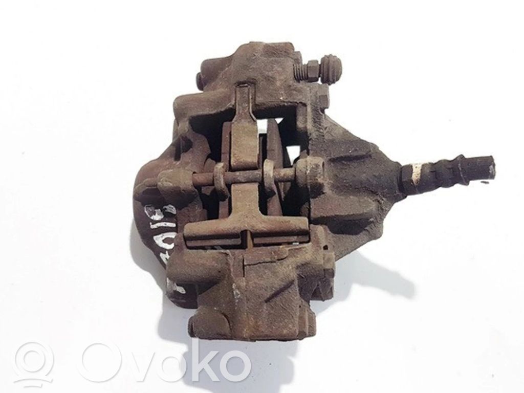 Takajarrusatula   36278,36278