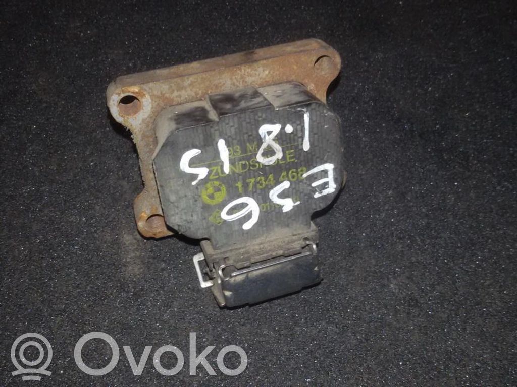 High voltage ignition coil   1734468,20520110010,1734468,20520110010