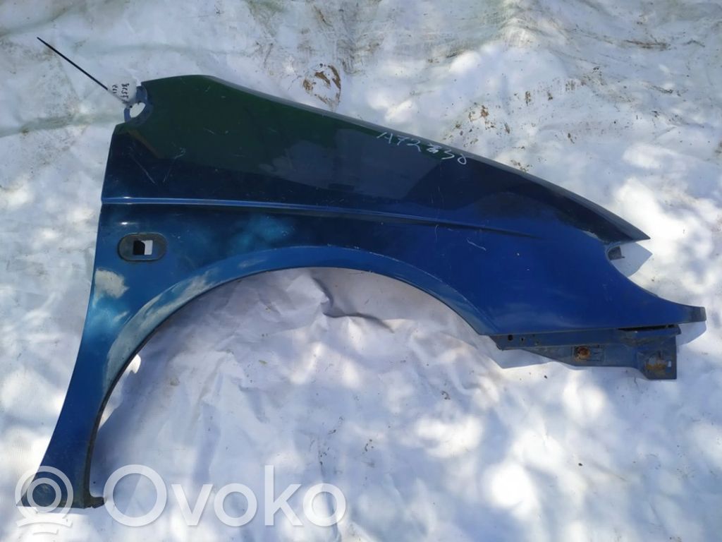Renault Scenic I Guardabarro 