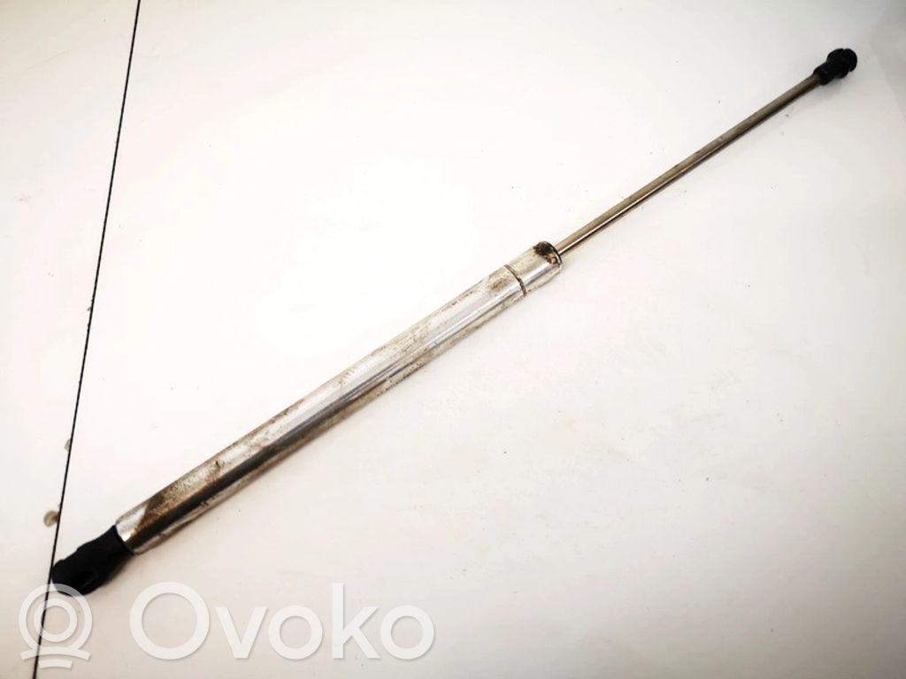 Volkswagen Golf IV Vérin de capot arrière 