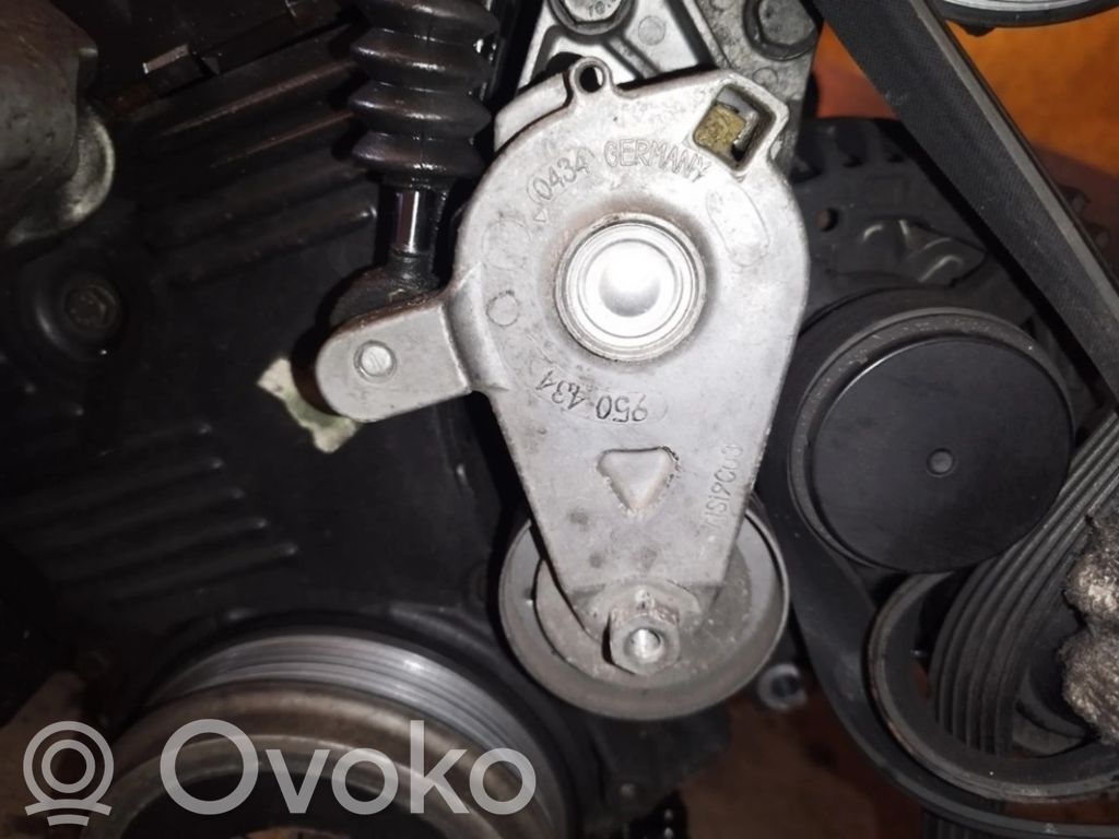 Tendicinghia generatore/alternatore   950434,950434