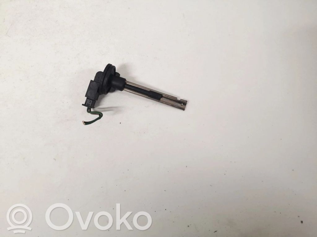 Innentemperatursensor   100268,100268