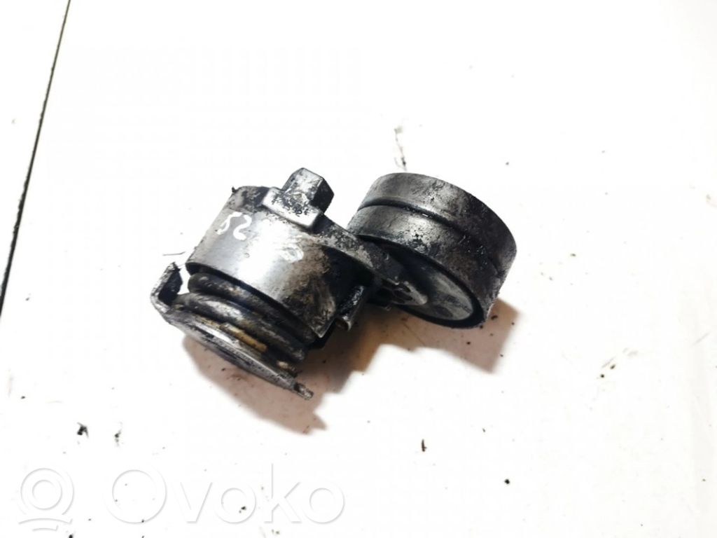 Renault Scenic II - Grand scenic II Tendicinghia generatore/alternatore