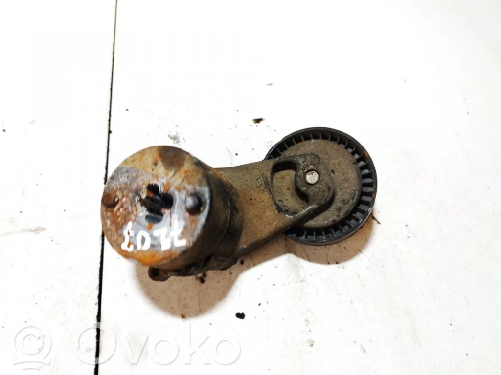 Opel Combo C Întinzător curea generator/alternator 